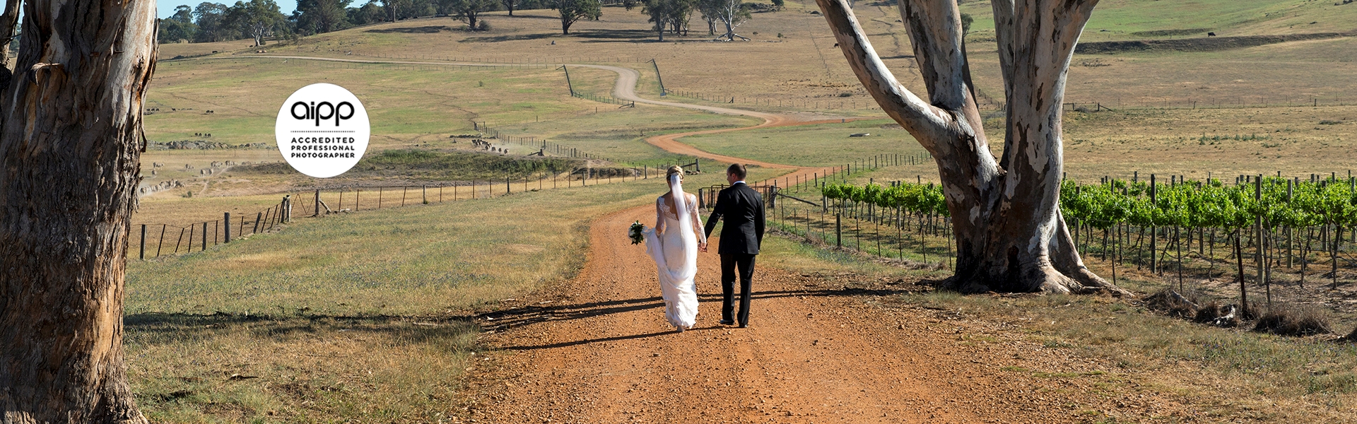 428696f3-6ac5-402b-b5c4-621238ff4482-Carolyn Will Hero Image easy weddings.jpg