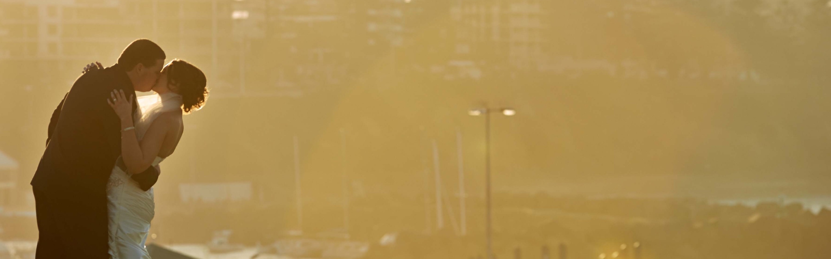 575446e7-1b24-4036-a27d-6022bc2de09d-web-TeiseDaniel-header (1).jpg