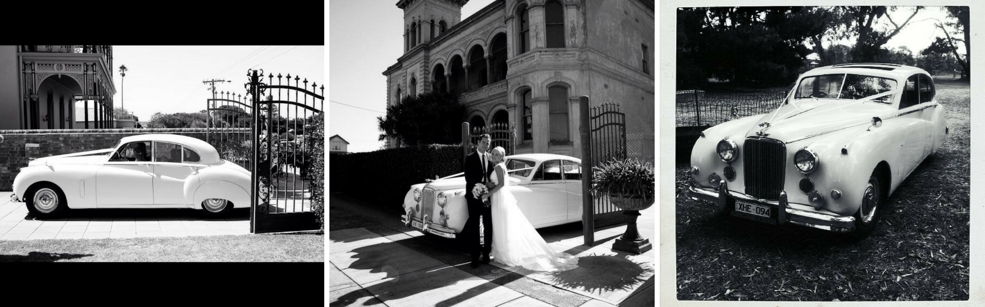 5951c899-3369-42cf-be56-44af17867845-Untitled design (18).jpg