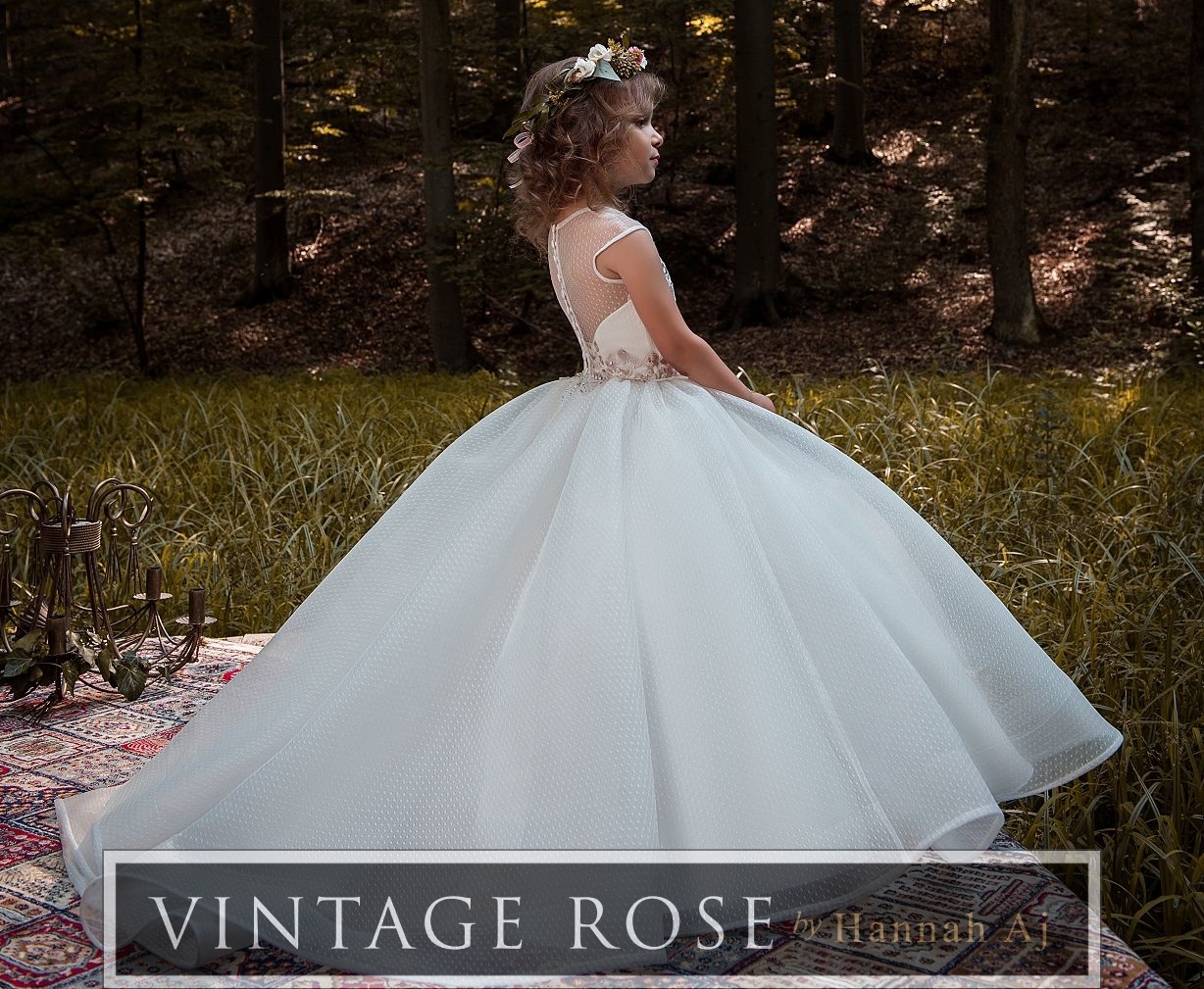 Vintage Rose by Hannah Aj