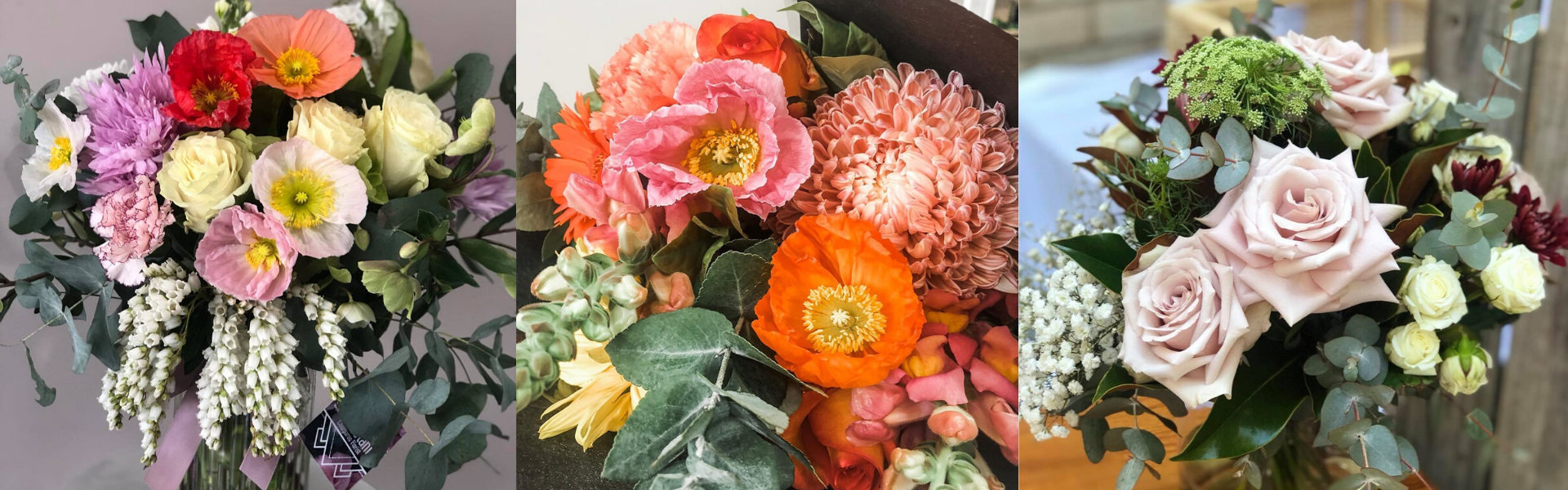 5c3f77b1-33a3-4942-9e6e-d059ed68ed87-mix2 1920 x 600.png