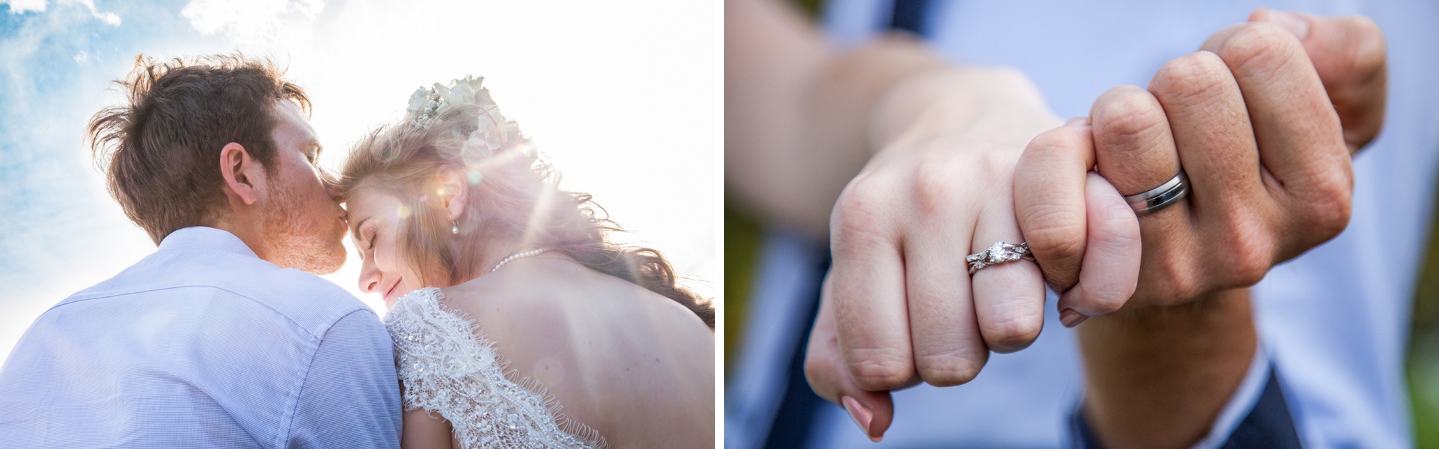 6338ed8c-824c-4d0d-bd97-99a9e92e60c8-Header Image 3.jpg