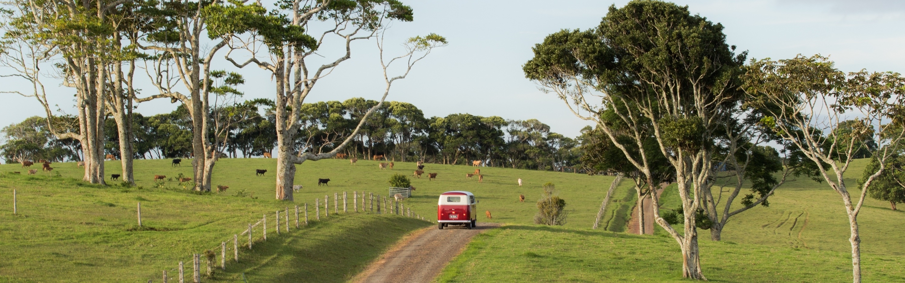 68b5a74d-3e70-4464-807f-925478148efa-55 BUS-1 cropped.jpg