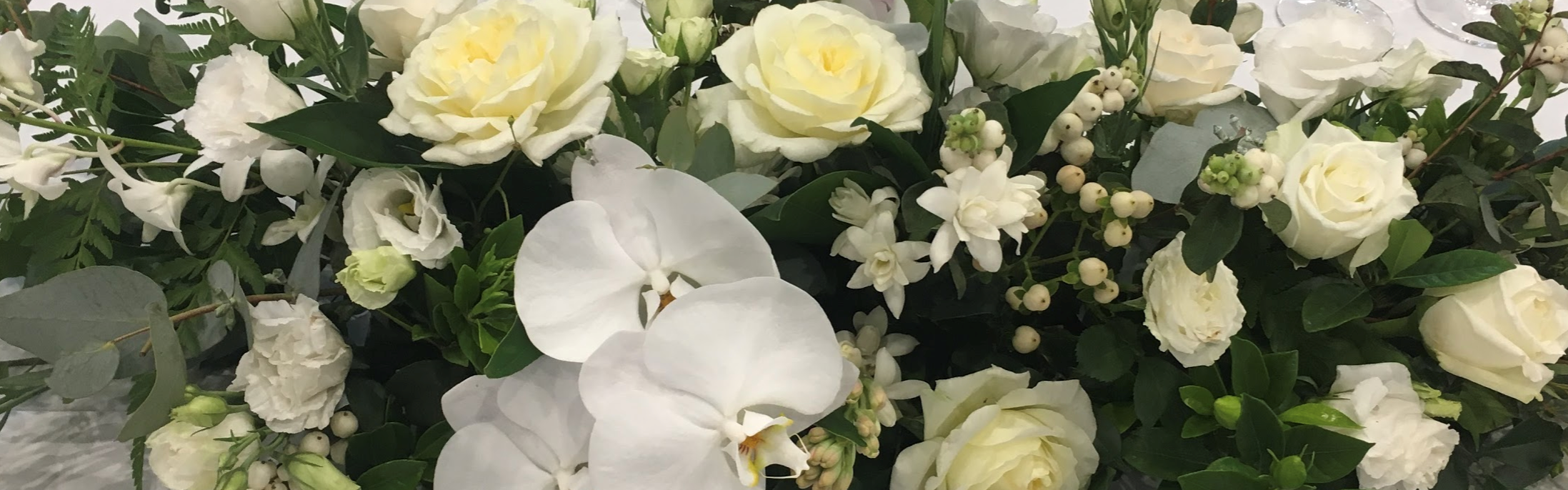 75c00848-7b6a-4c00-8443-3377832ceecf-Screen Shot 2018-05-17 at 11.29.42 am.png