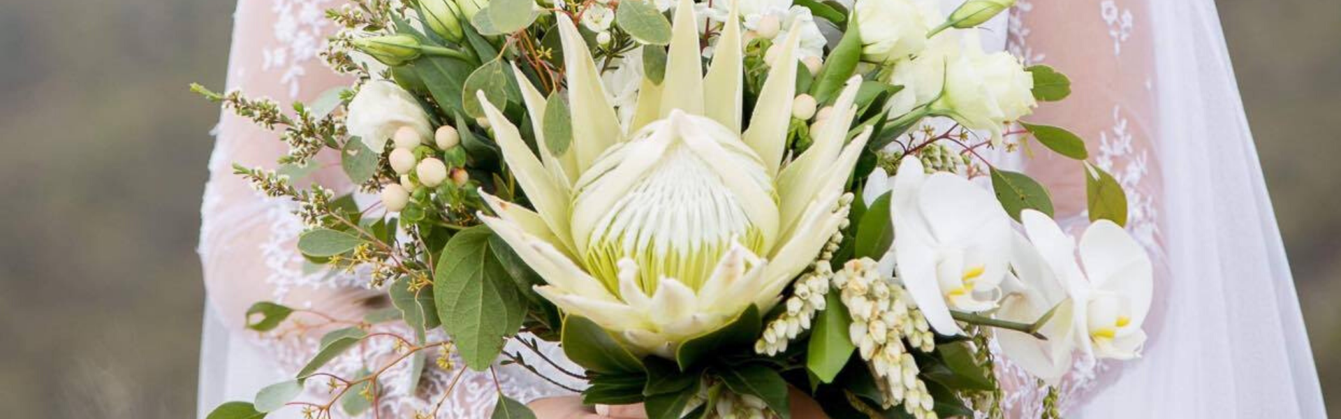 7c797055-70d1-4a9d-86e4-662655c04c8c-pheobeandsi 1920 x 600.png