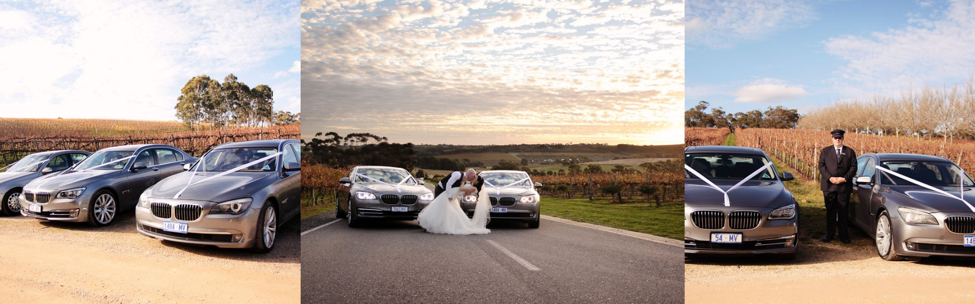 814d2ac5-1dc8-48ee-bde6-453f1623c581-Untitled design (36).png