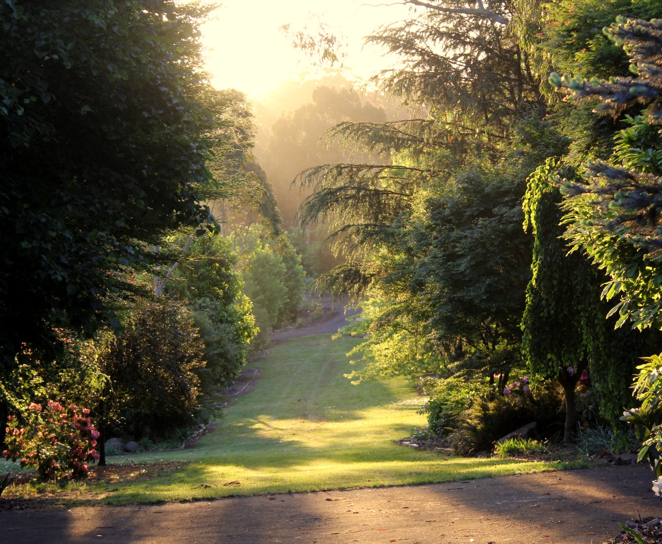 Sue Jarvis Gallery Garden