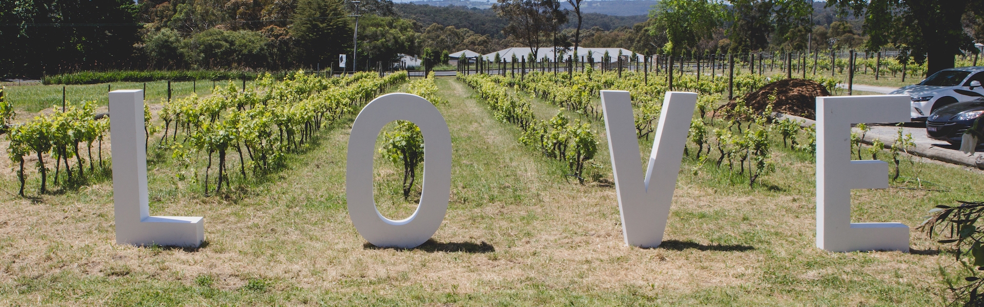 9e8fa555-b1ef-4dfe-b647-e03474d505b8-Rebecca - Love Sign HR.jpg