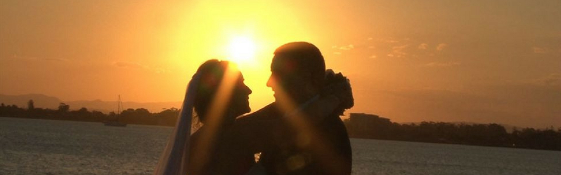 All Occasions Videos