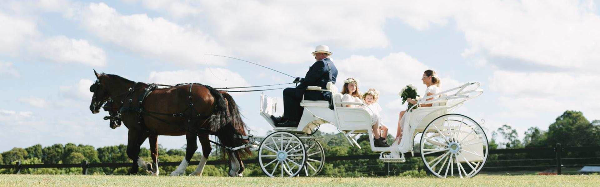 Carriage Occasions