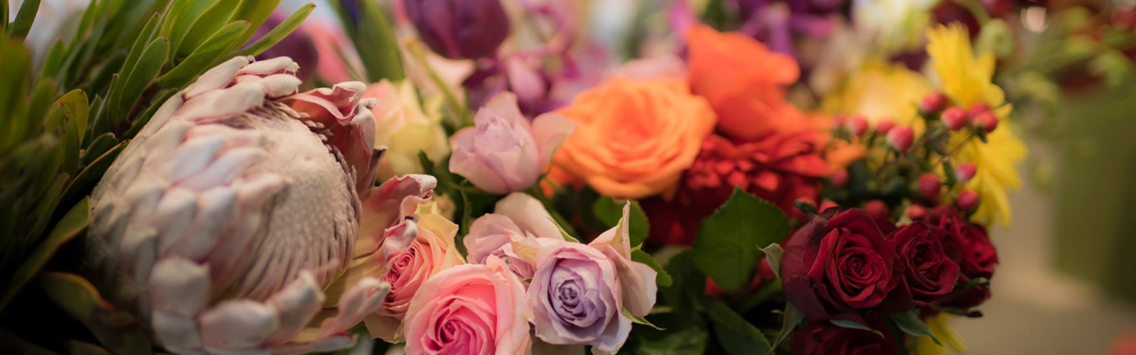 Code Bloom