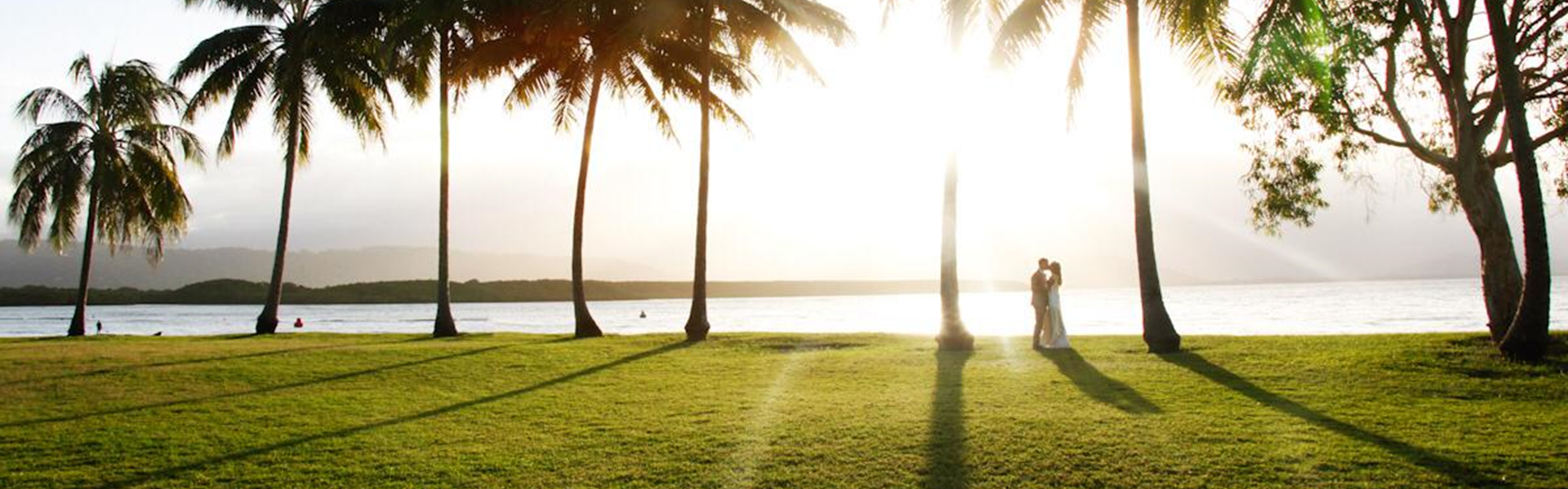 Dragonfly Weddings and Events