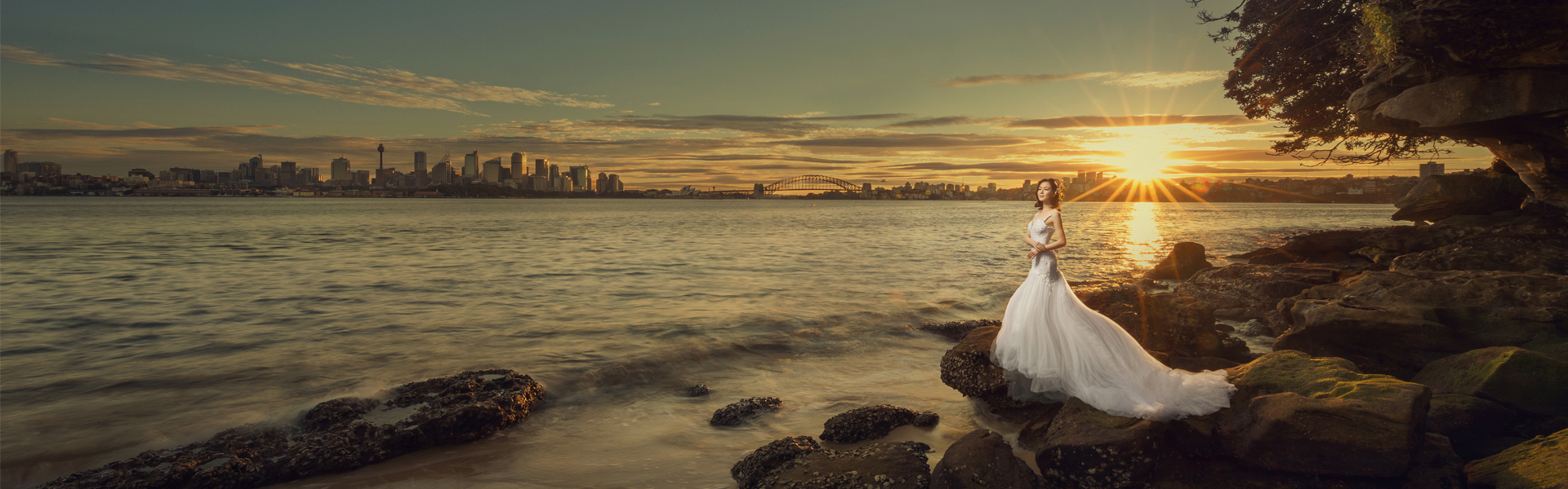  Dreamlife Photos & Video 