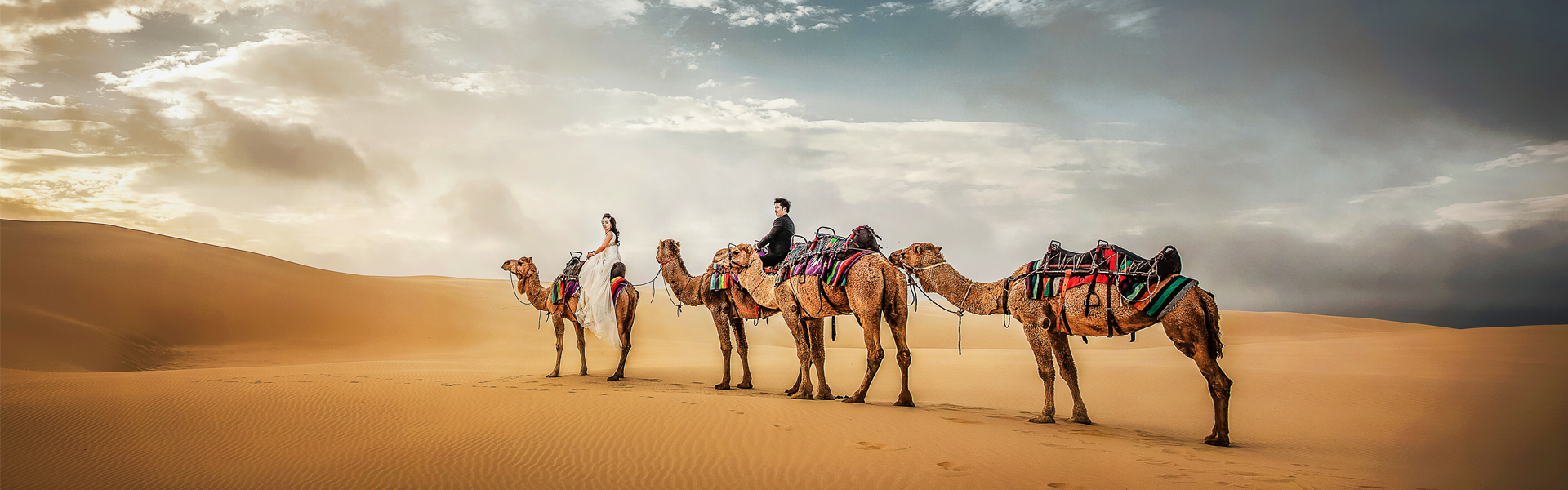  Dreamlife Photos & Video 