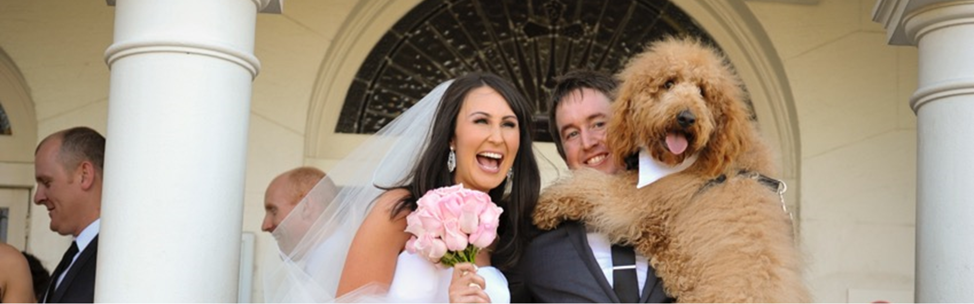 First Class Pet Wedding Assistants