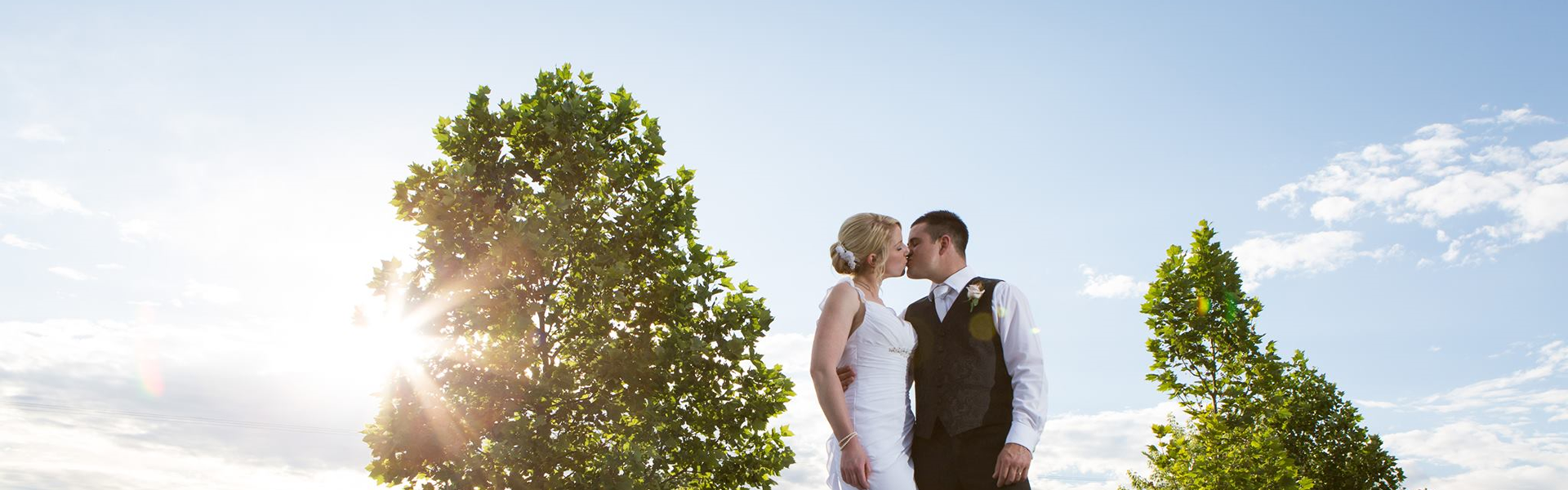 Flint at Shaw Vineyard