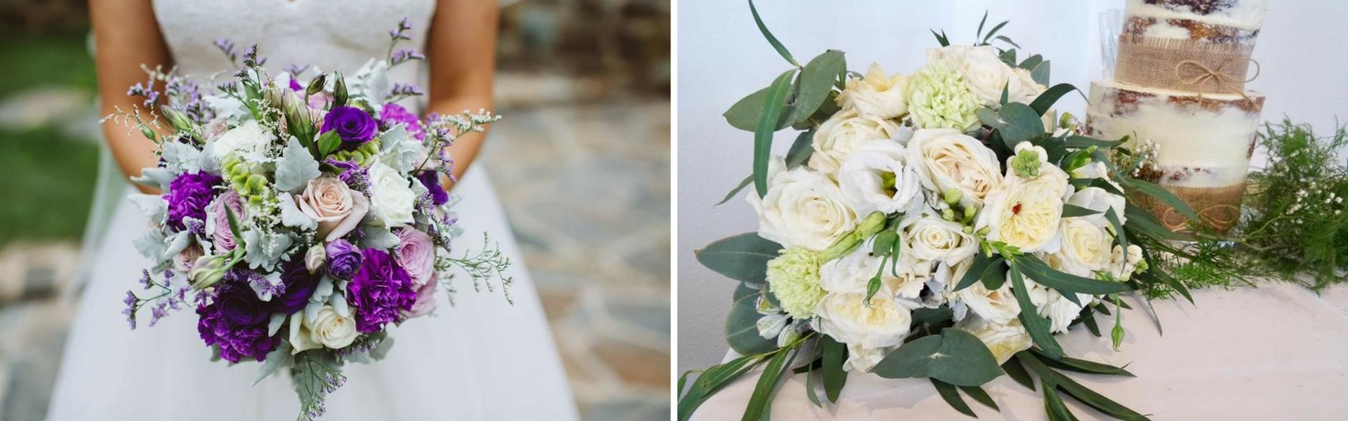 Flower Patch at Olinda