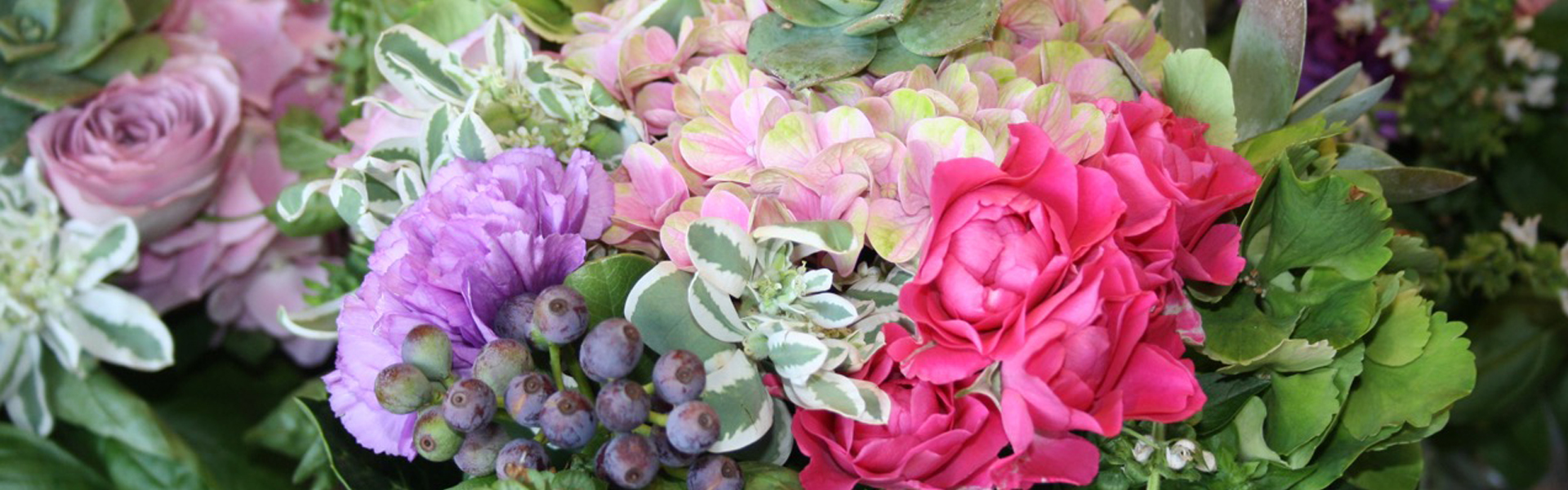 Flowers of Leeming 