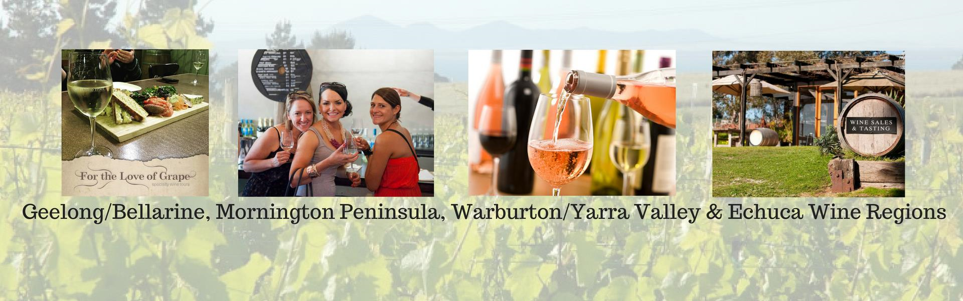 For the Love of Grape Wine Tours