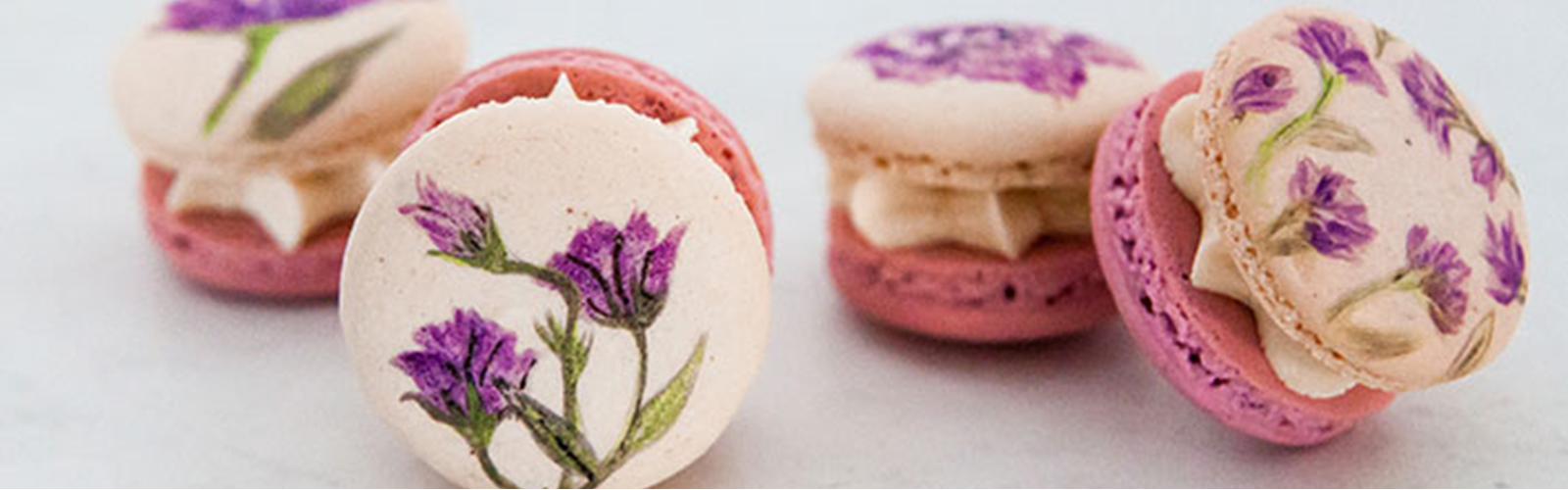 Hand Painted Macarons