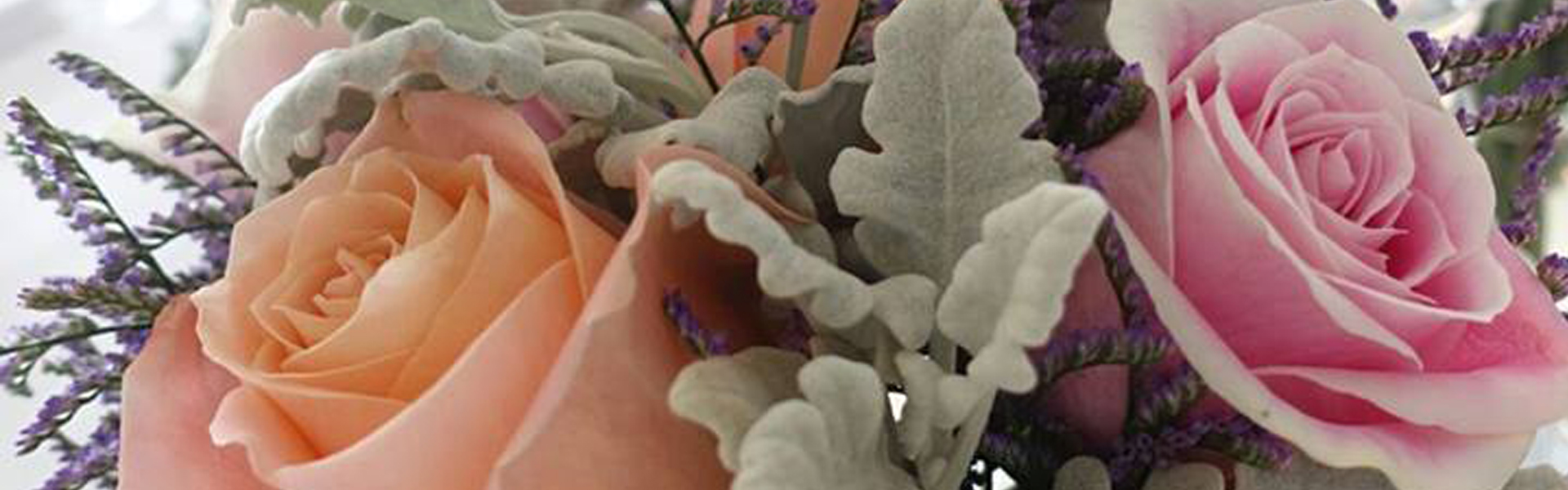 JQ Liu perth Civil Celebrant 