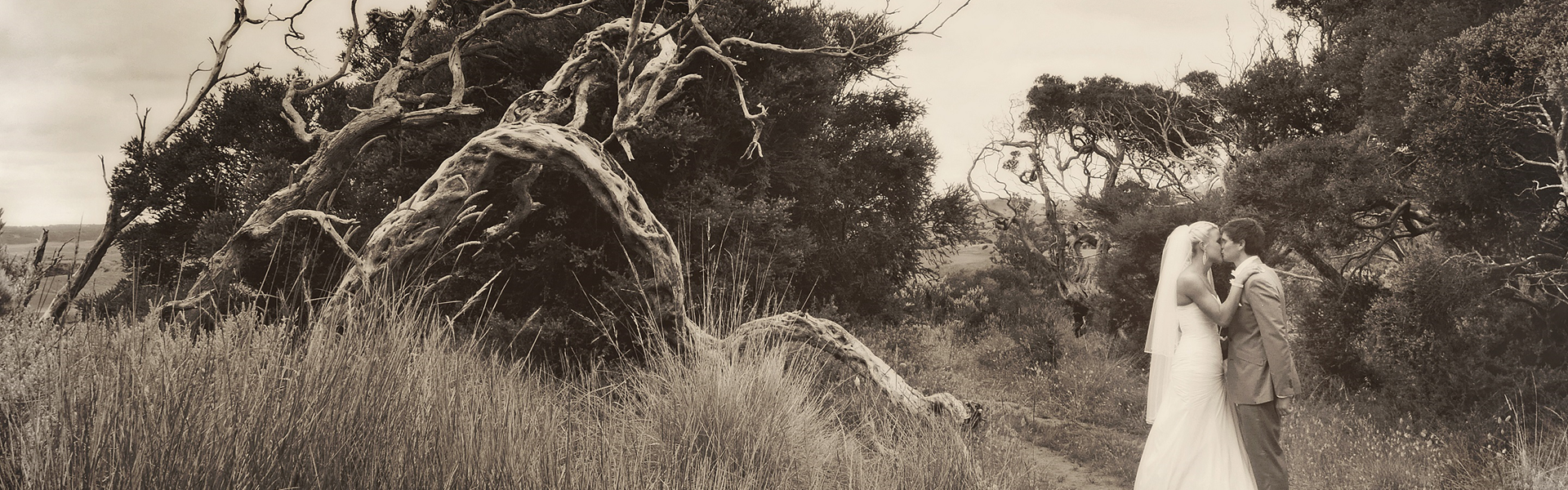 Jennifer Dean Weddings