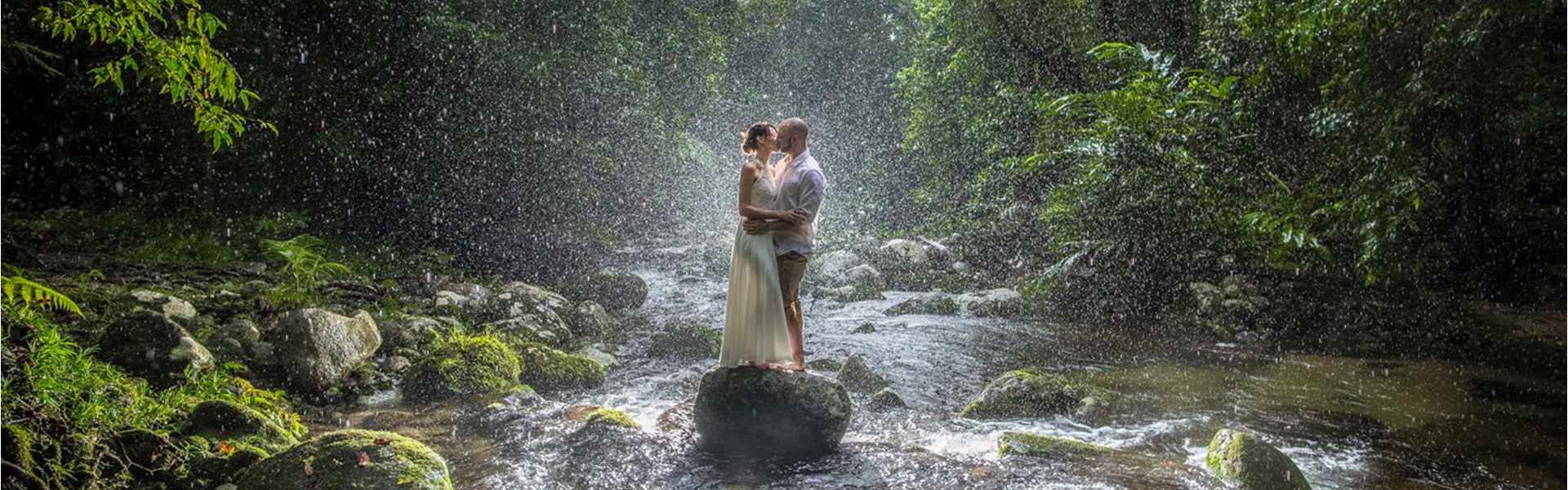 Misty Mountains Rainforest Retreat