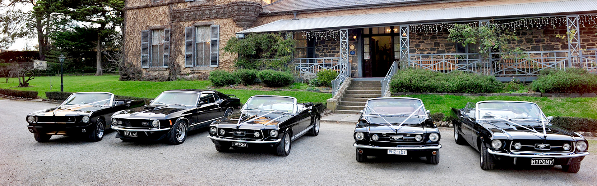Mustangs in Black Convertible and Fastback Mustang fleet
