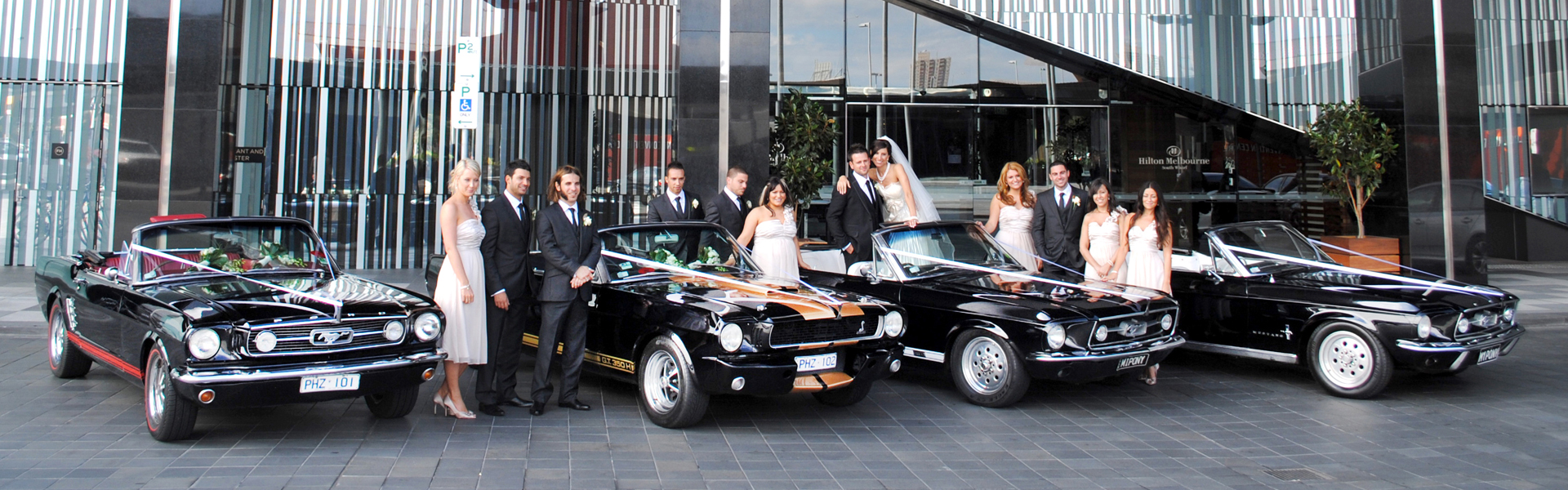 Mustangs in Black Ford Mustang Fleet