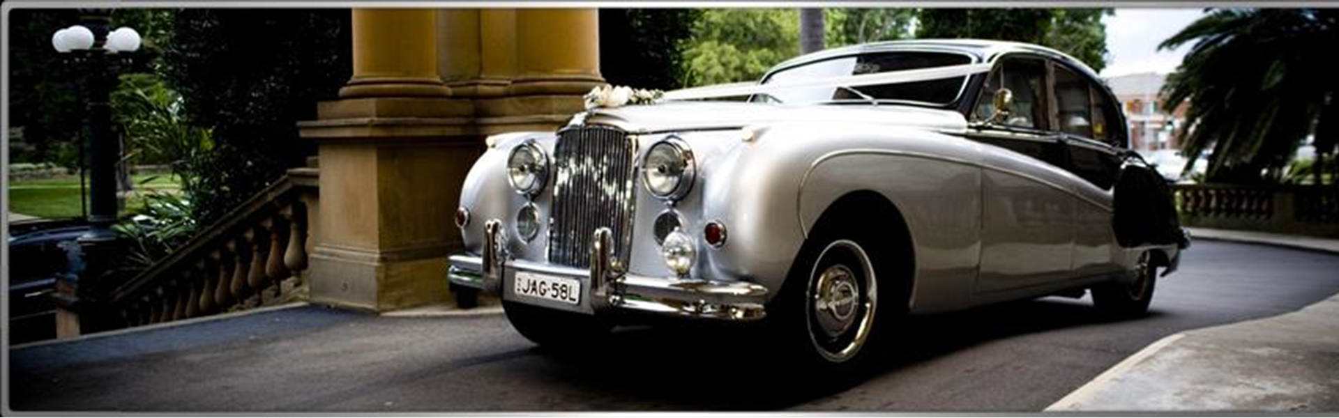 Natalie's Limousine