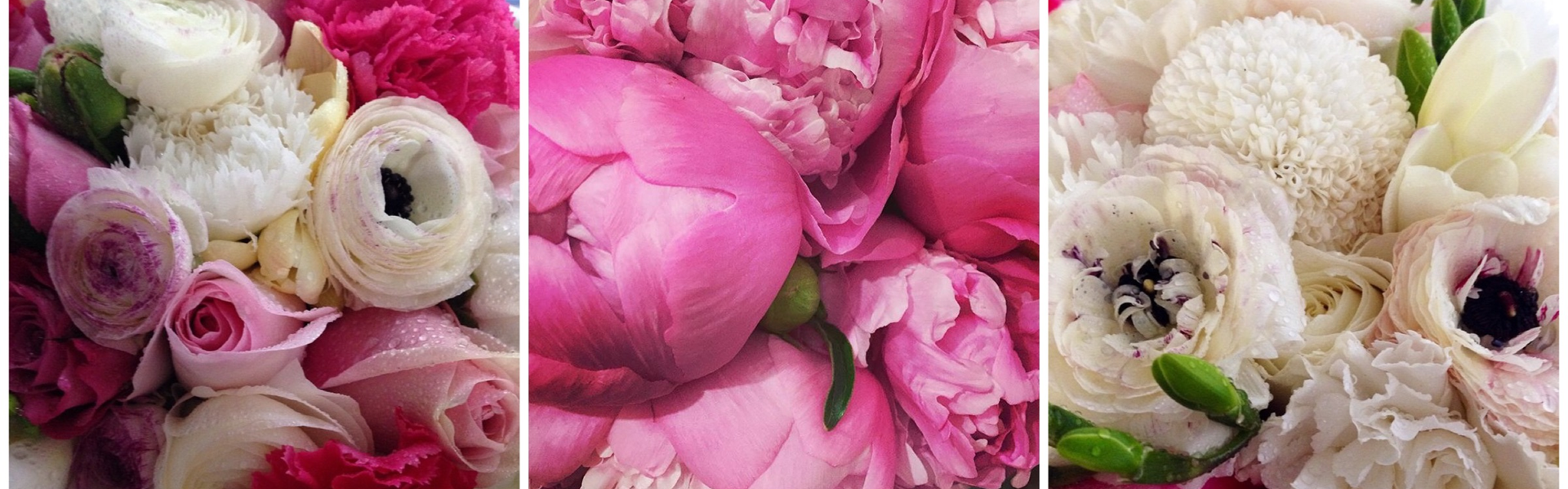 Pinks