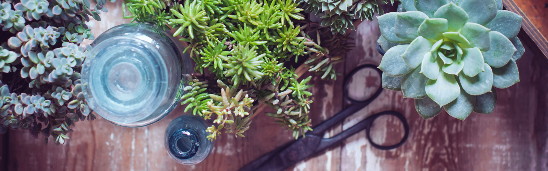 Plant A Seed Bomboniere