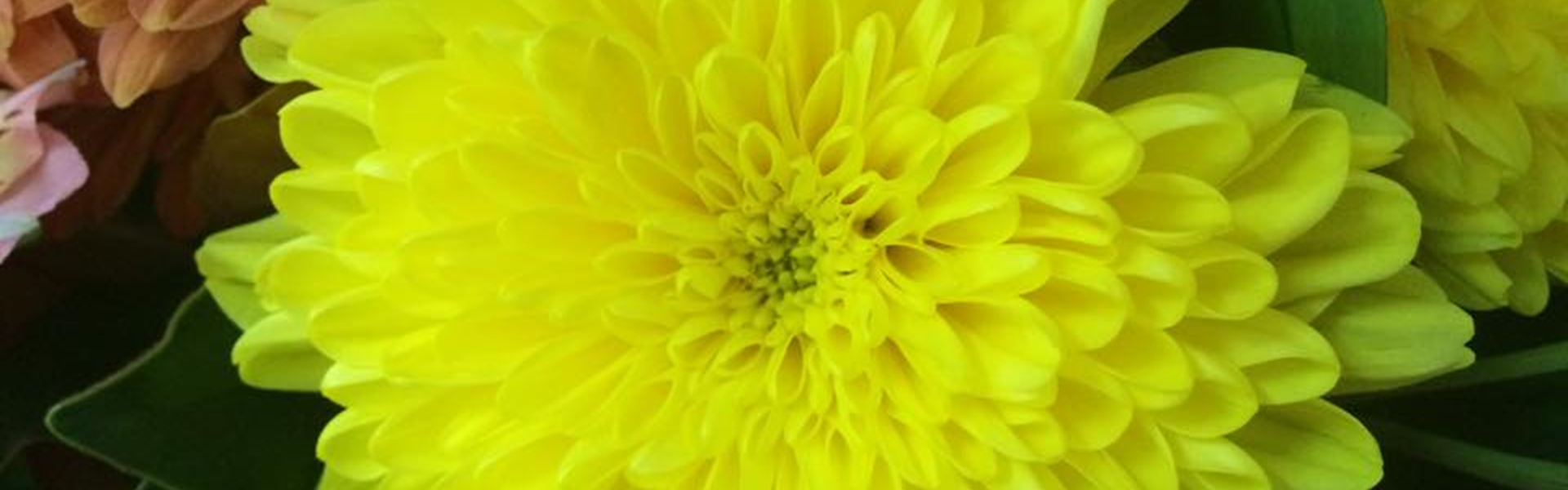 Riverport Florist