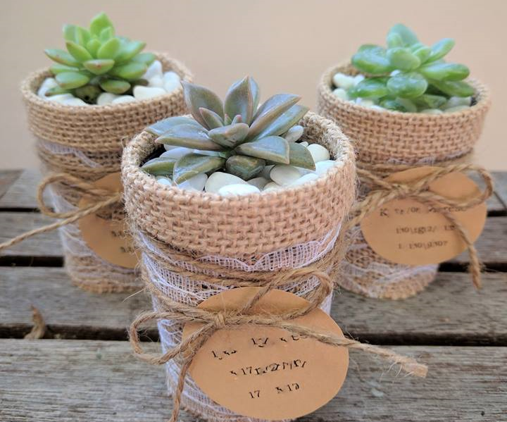 Succulent Bomboniere