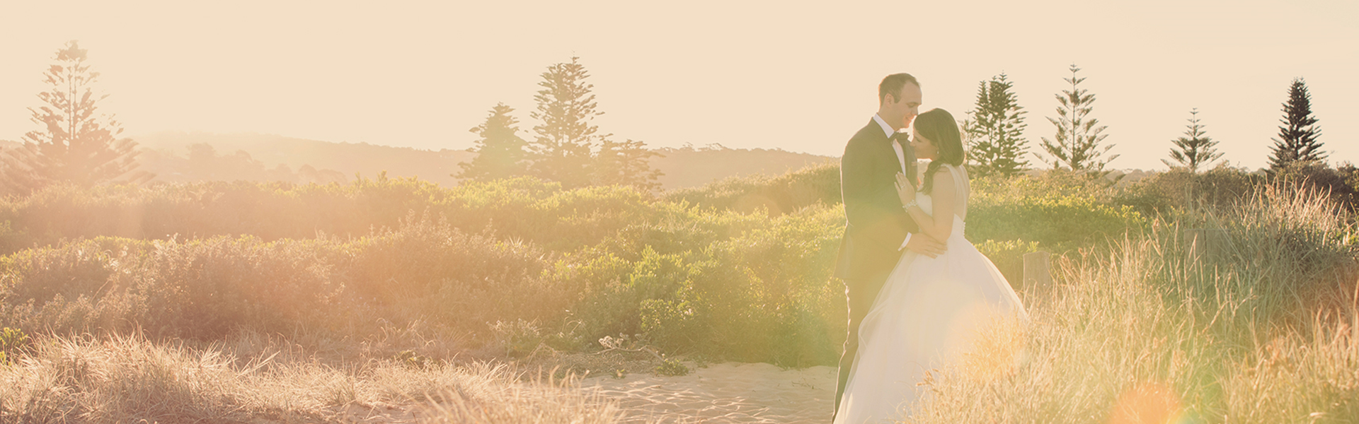  Sunday Photography and Video