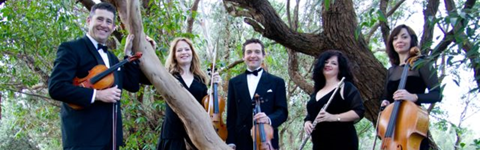 Sydney Society Strings