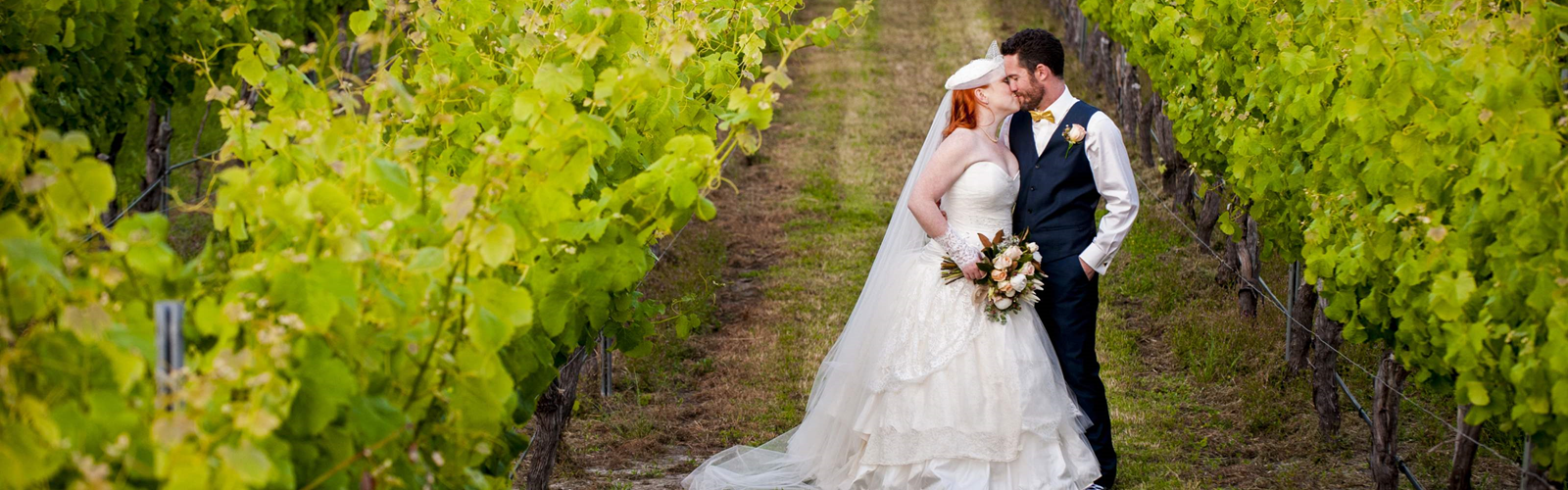 The Newlyweds In The Vineyard