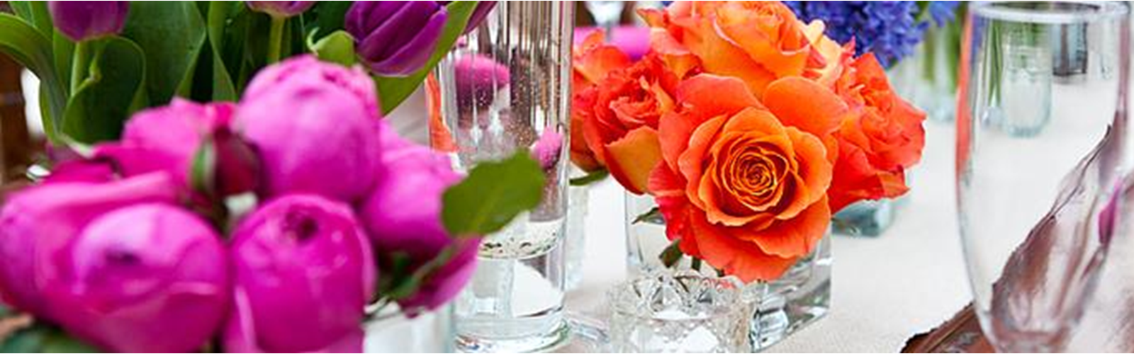 Tie The Knot Wedding and Events