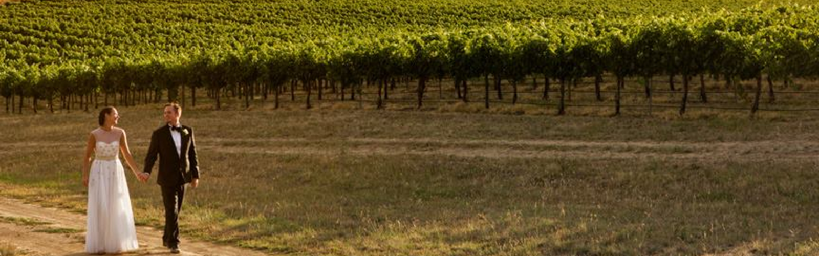 Walking Along The Vineyards