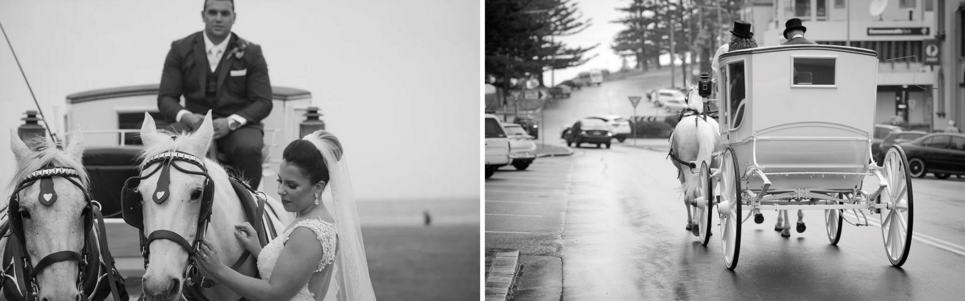 Ware's Livery Stables 