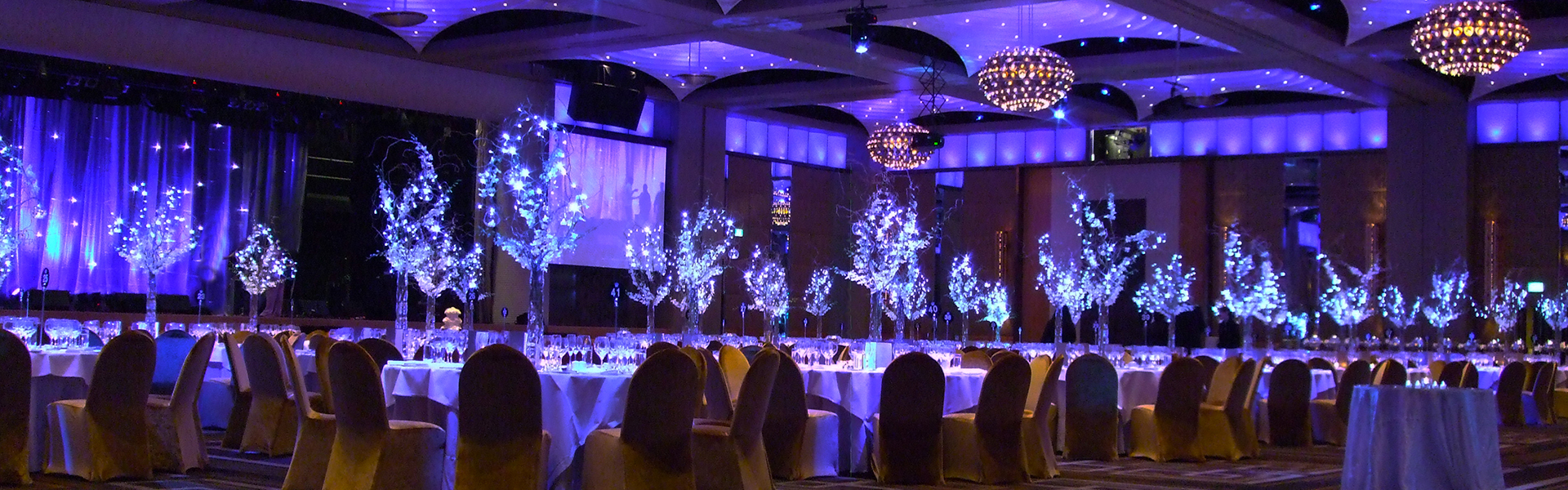 White light willow wedding