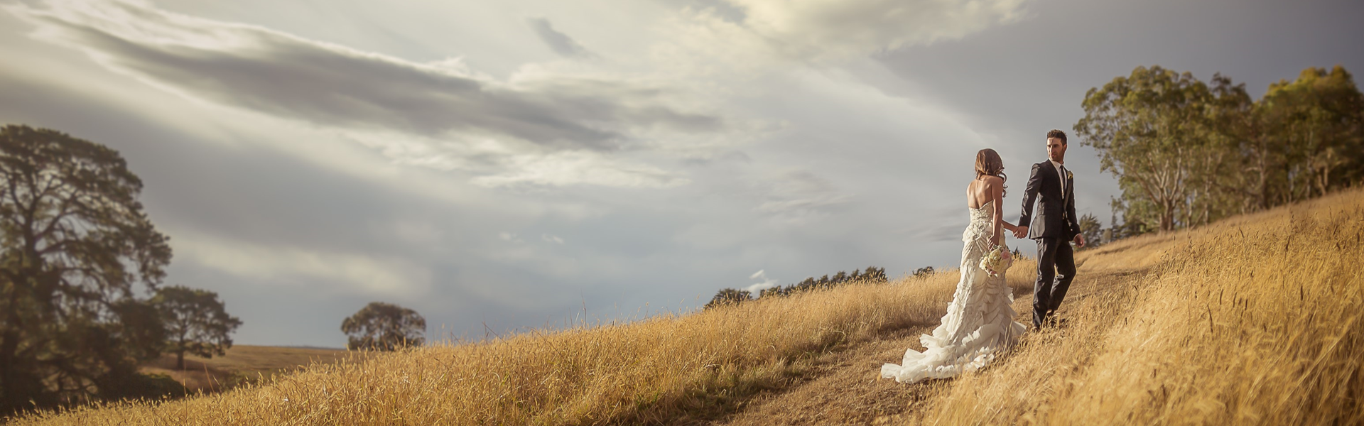Winery Wedding at Balgownie Estate