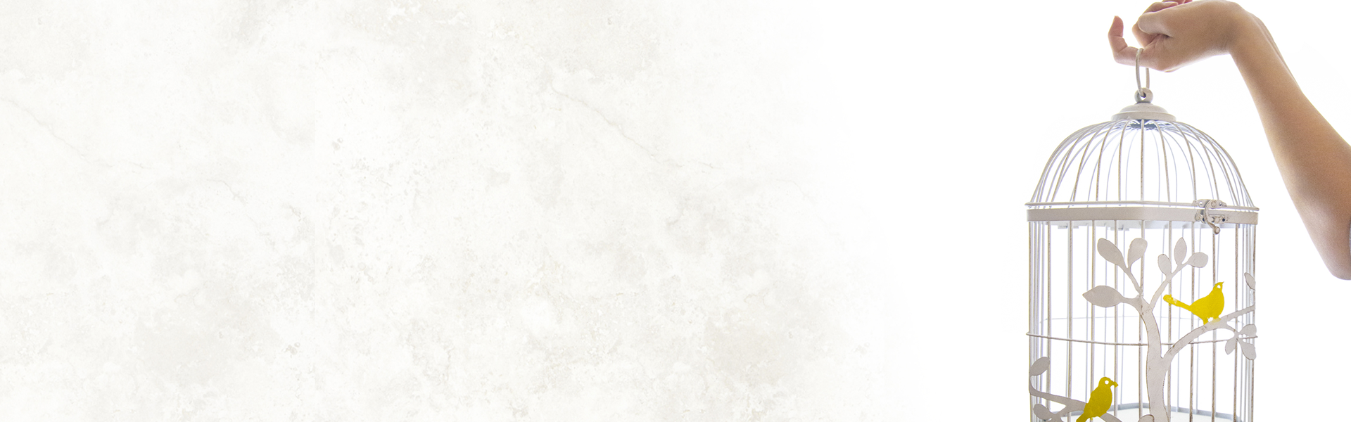 Yellowbird Films Header