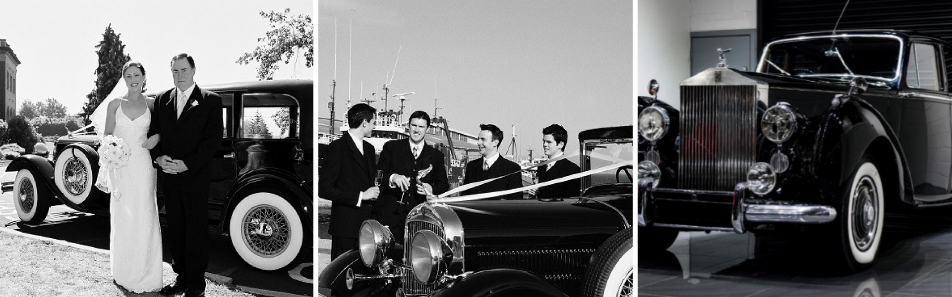 a1bf977b-9431-42b5-9253-14de006ca354-Untitled design (27).jpg