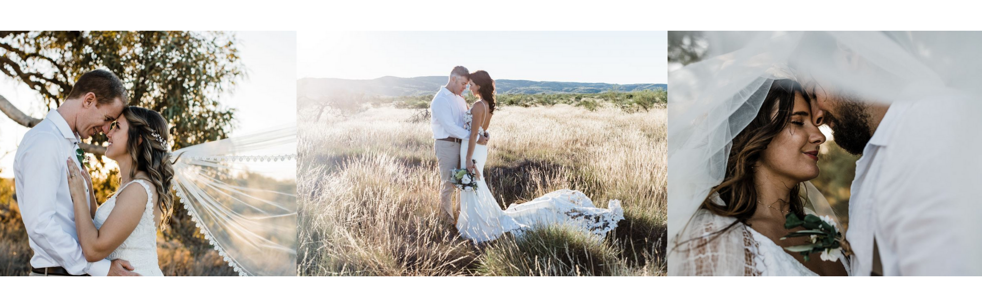 a37f85c0-c373-4045-a593-873591f6e53b-Untitled design - 2019-12-05T121853.651.png