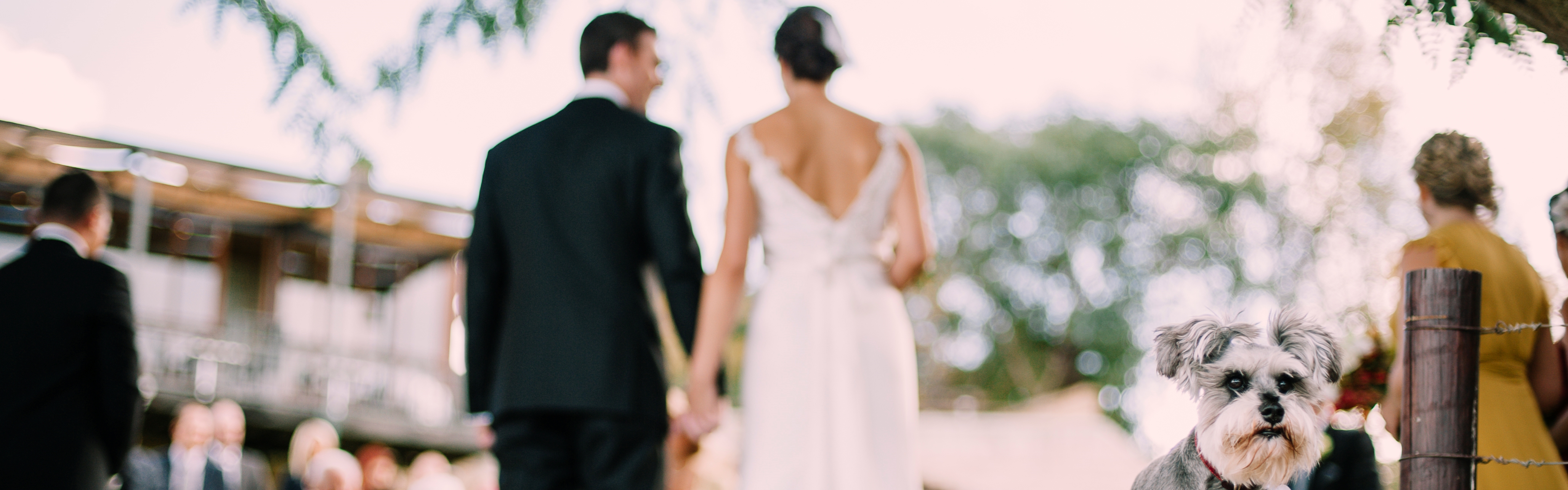 a4cdb435-49b2-4a08-a13c-9a08f74fd6f3-Richard & Helen-22.jpg