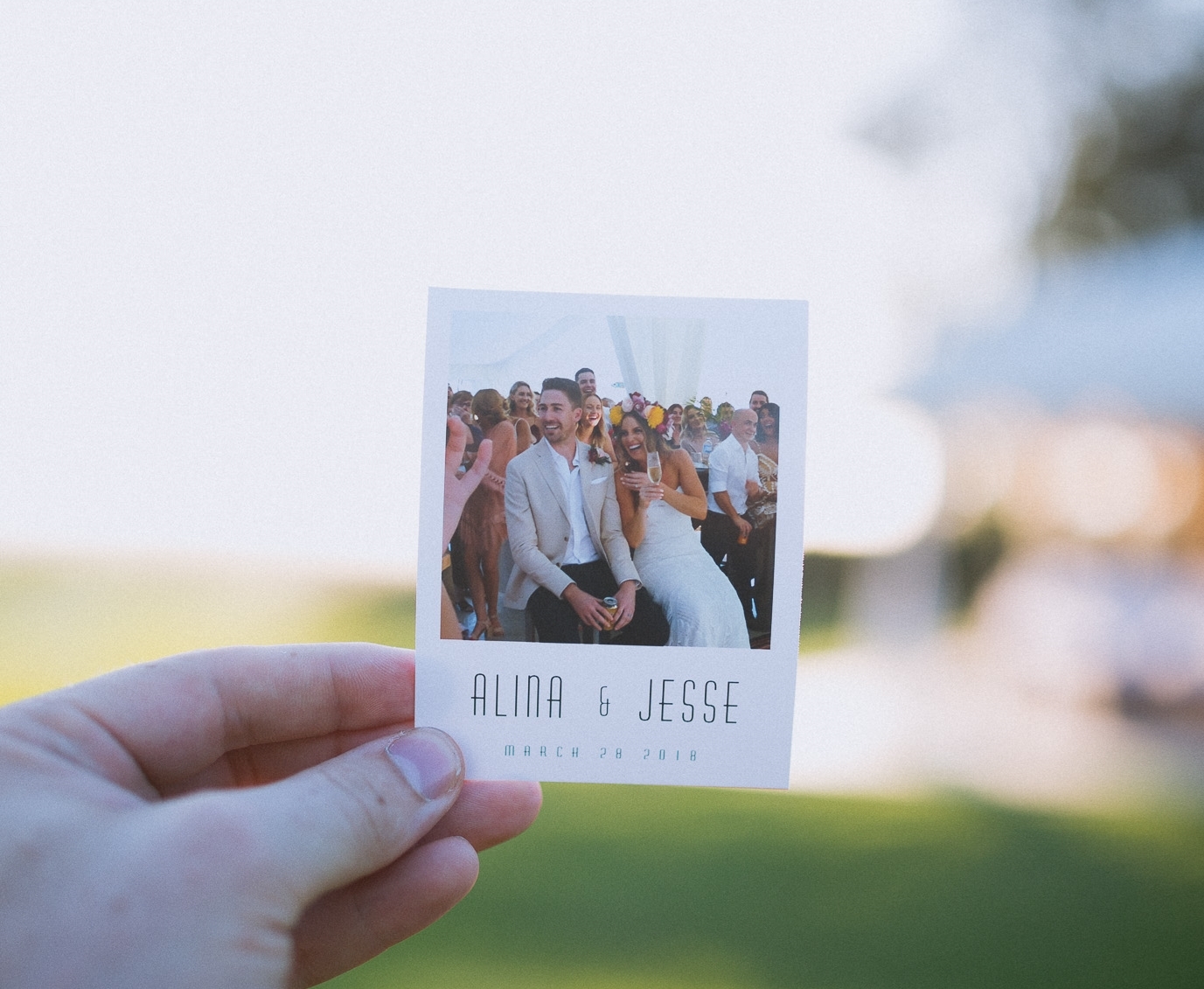 Undisposable - Roaming Cameras