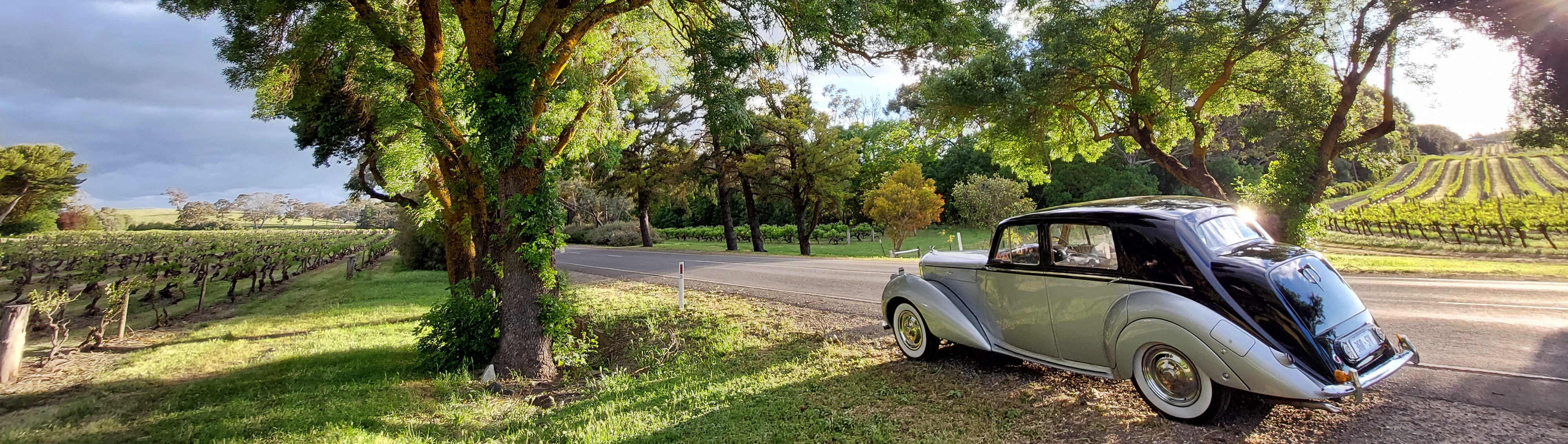 Adelaide Wedding Cars SupplierHero Wedding Cars