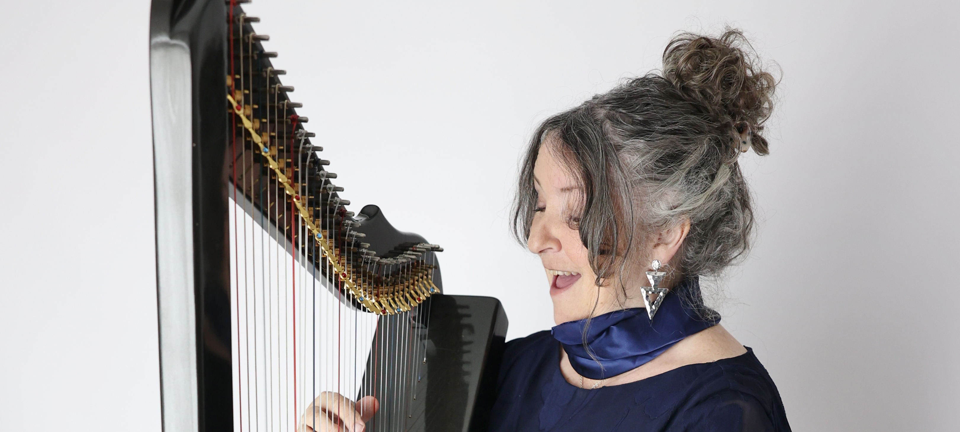 Ali’s Harp SupplierHero Wedding Music
