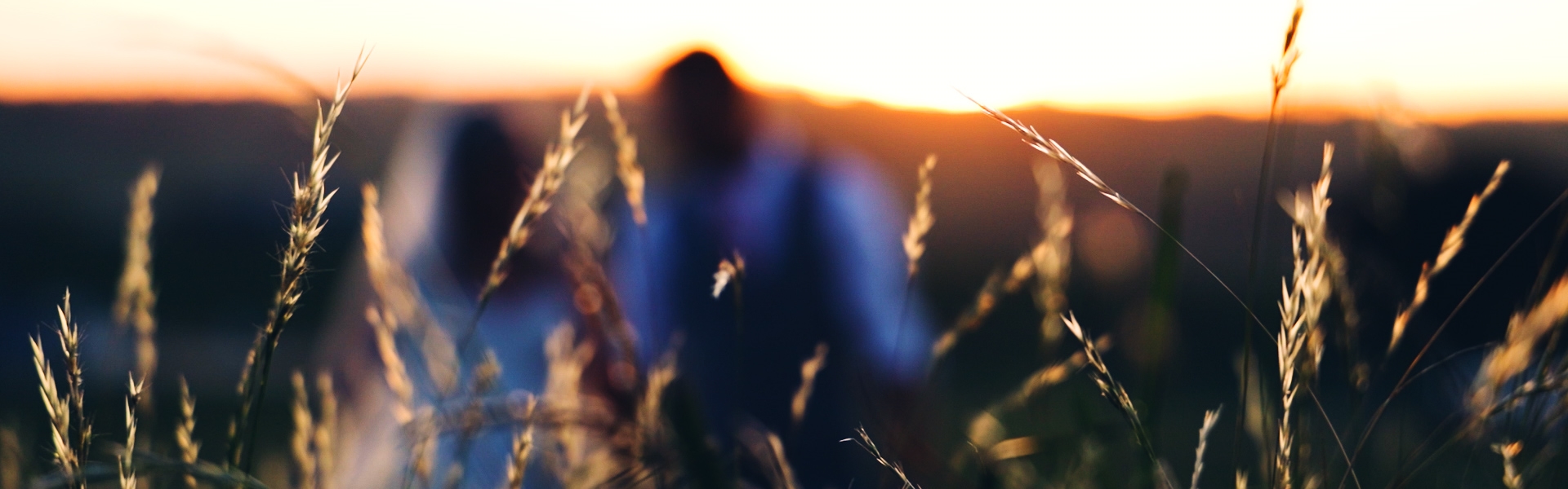 b2b1f634-ff80-4115-a489-fb14b57dcd52-Highlight Reel.00_00_04_11.Still001.jpg